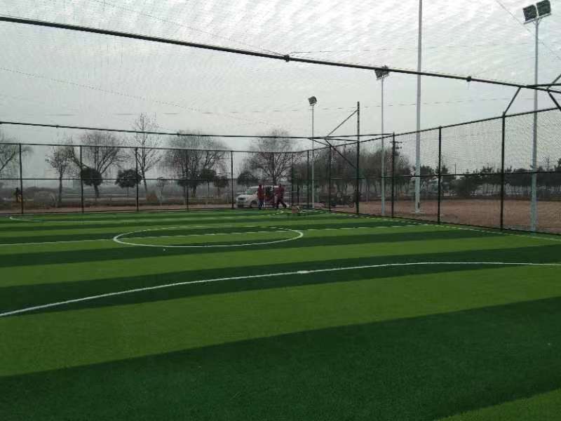 Esgrima deportiva de fútbol con jaula patentada de alta calidad de China