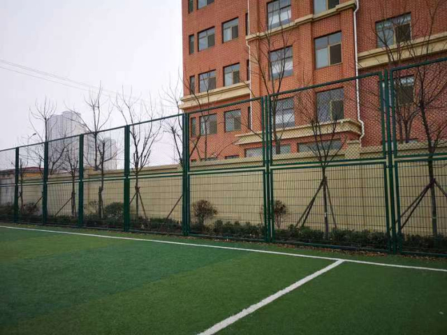 Cerca del estadio de esgrima deportiva de fútbol con jaula patentada de alta gama