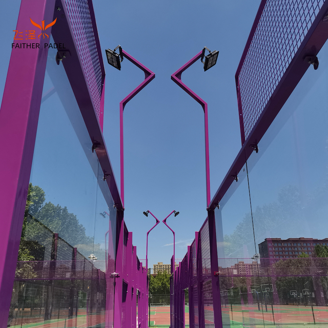 Ingresos de Pádel de Personalización de Alta Gama Indoor Outdoor